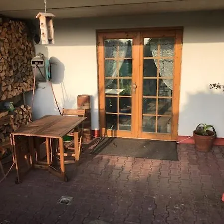 Elsa ショッテン