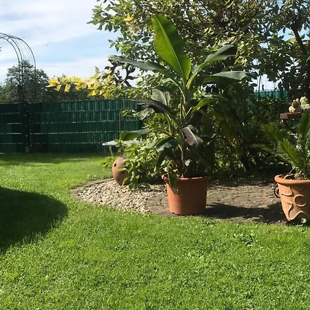 Elsa * ショッテン